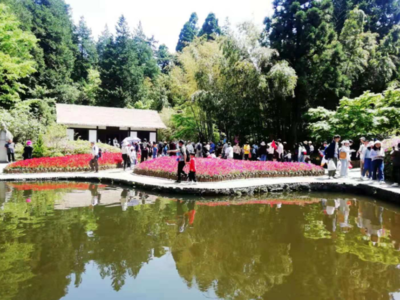 小長假前三天，廬山游客接待量創今年新高，景區管理舉措成效顯著