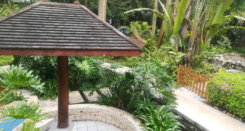 南寧嘉和城溫泉谷游覽全攻略 門票、地址、游玩路線與管理解析